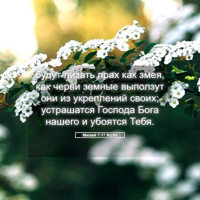 Picture 05 - Михей 7:17 RUSV - будут лизать прах как змея, - Bible Verse Picture