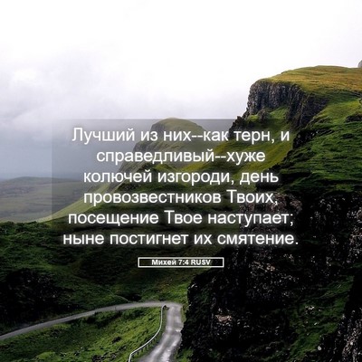 Picture 05 - Михей 7:4 RUSV - Лучший из них--как терн, и - Bible Verse Picture