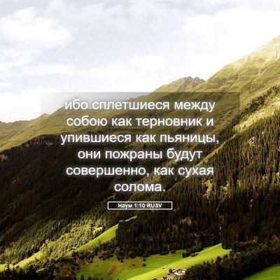 Picture 05 - Наум 1:10 RUSV - ибо сплетшиеся между собою - Bible Verse Picture