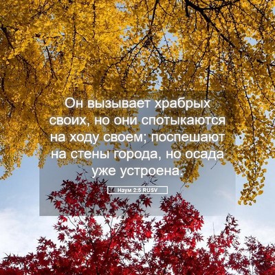 Picture 05 - Наум 2:5 RUSV - Он вызывает храбрых своих, - Bible Verse Picture