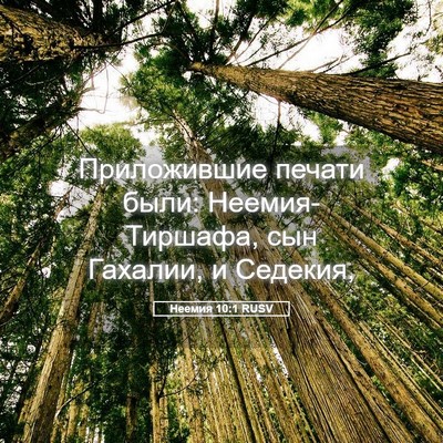 Picture 05 - Неемия 10:1 RUSV - Приложившие печати были: - Bible Verse Picture