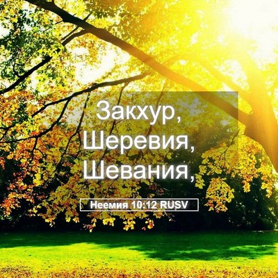 Picture 05 - Неемия 10:12 RUSV - Закхур, Шеревия, - Bible Verse Picture