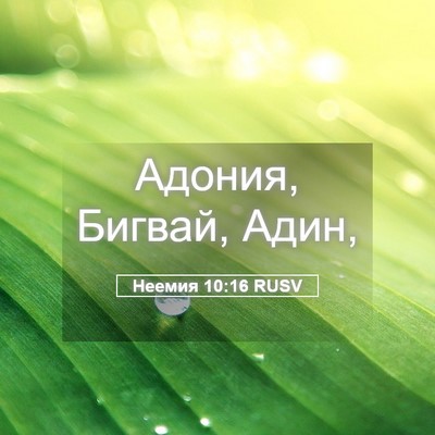 Picture 05 - Неемия 10:16 RUSV - Адония, Бигвай, - Bible Verse Picture
