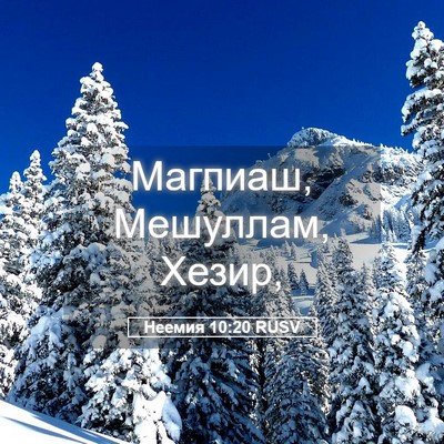 Picture 05 - Неемия 10:20 RUSV - Магпиаш, Мешуллам, - Bible Verse Picture
