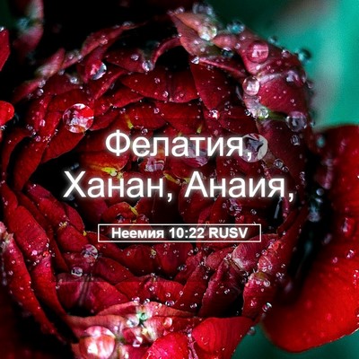 Picture 05 - Неемия 10:22 RUSV - Фелатия, Ханан, - Bible Verse Picture