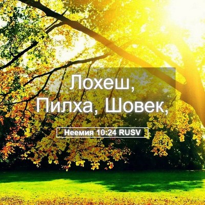 Picture 05 - Неемия 10:24 RUSV - Лохеш, Пилха, - Bible Verse Picture