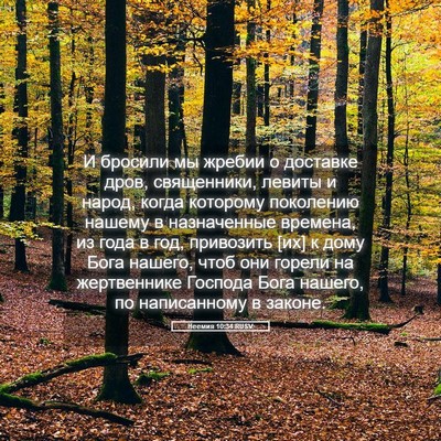 Picture 05 - Неемия 10:34 RUSV - И бросили мы жребии о - Bible Verse Picture