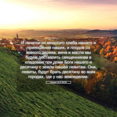 Picture 05 - Неемия 10:37 RUSV - И начатки из молотого - Bible Verse Picture