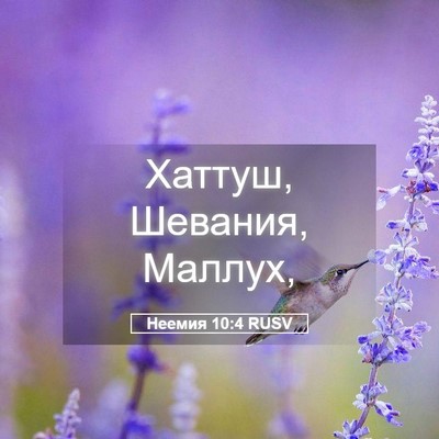 Picture 05 - Неемия 10:4 RUSV - Хаттуш, Шевания, - Bible Verse Picture