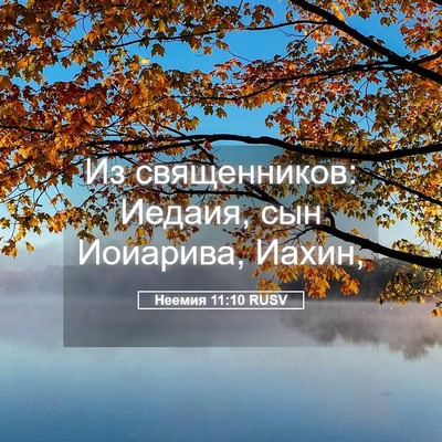 Picture 05 - Неемия 11:10 RUSV - Из священников: Иедаия, сын - Bible Verse Picture