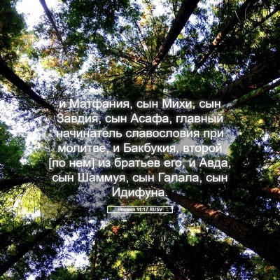 Picture 05 - Неемия 11:17 RUSV - и Матфания, сын Михи, сын - Bible Verse Picture