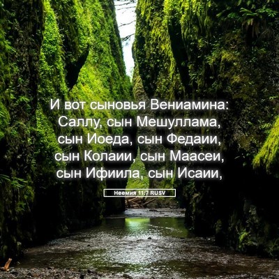 Picture 05 - Неемия 11:7 RUSV - И вот сыновья Вениамина: - Bible Verse Picture