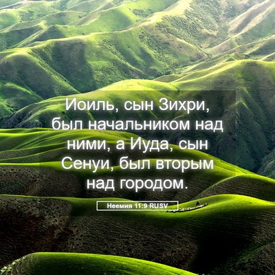 Picture 05 - Неемия 11:9 RUSV - Иоиль, сын Зихри, был - Bible Verse Picture