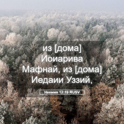 Picture 05 - Неемия 12:19 RUSV - из [дома] Иоиарива Мафнай, - Bible Verse Picture