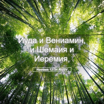 Picture 05 - Неемия 12:34 RUSV - Иуда и Вениамин, и Шемаия и - Bible Verse Picture