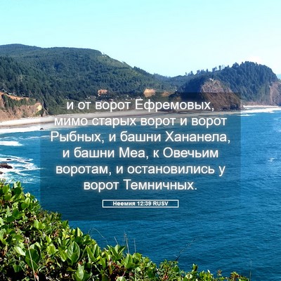 Picture 05 - Неемия 12:39 RUSV - и от ворот Ефремовых, мимо - Bible Verse Picture
