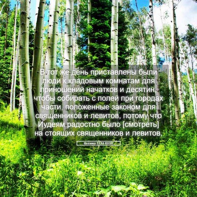 Picture 05 - Неемия 12:44 RUSV - В тот же день приставлены - Bible Verse Picture