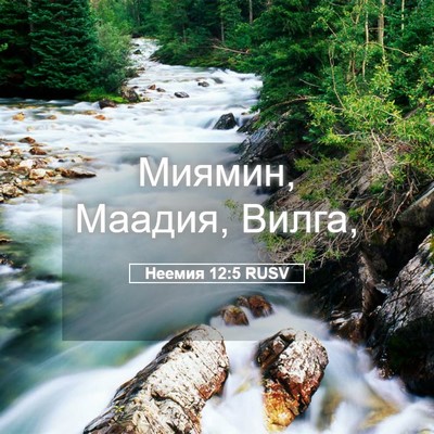 Picture 05 - Неемия 12:5 RUSV - Миямин, Маадия, - Bible Verse Picture