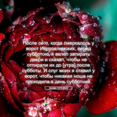 Picture 05 - Неемия 13:19 RUSV - После сего, когда - Bible Verse Picture