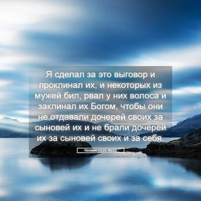 Picture 05 - Неемия 13:25 RUSV - Я сделал за это выговор и - Bible Verse Picture