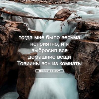 Picture 05 - Неемия 13:8 RUSV - тогда мне было весьма - Bible Verse Picture