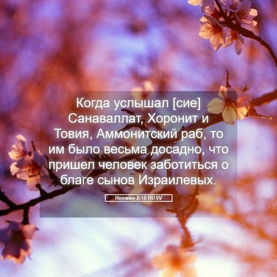 Picture 05 - Неемия 2:10 RUSV - Когда услышал [сие] - Bible Verse Picture