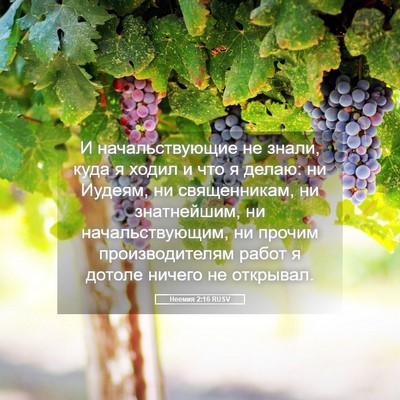 Picture 05 - Неемия 2:16 RUSV - И начальствующие не знали, - Bible Verse Picture