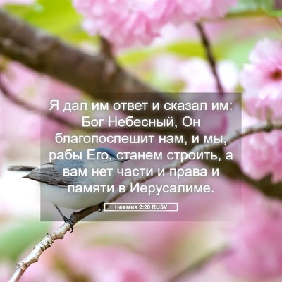 Picture 05 - Неемия 2:20 RUSV - Я дал им ответ и сказал им: - Bible Verse Picture