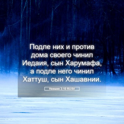 Picture 05 - Неемия 3:10 RUSV - Подле них и против дома - Bible Verse Picture