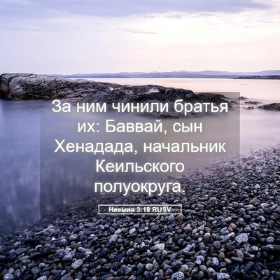 Picture 05 - Неемия 3:18 RUSV - За ним чинили братья их: - Bible Verse Picture