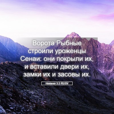 Picture 05 - Неемия 3:3 RUSV - Ворота Рыбные строили - Bible Verse Picture