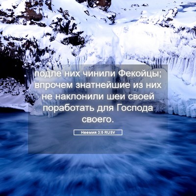 Picture 05 - Неемия 3:5 RUSV - подле них чинили Фекойцы; - Bible Verse Picture