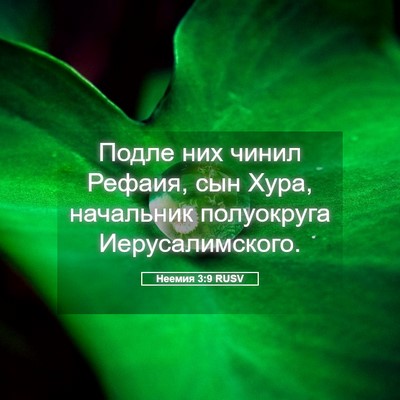 Picture 05 - Неемия 3:9 RUSV - Подле них чинил Рефаия, сын - Bible Verse Picture