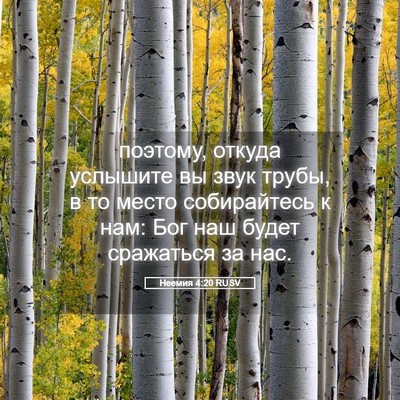 Picture 05 - Неемия 4:20 RUSV - поэтому, откуда услышите - Bible Verse Picture
