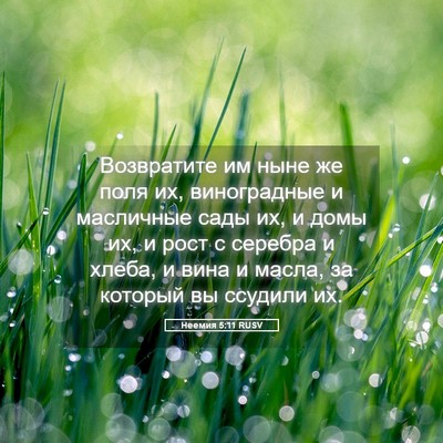 Picture 05 - Неемия 5:11 RUSV - Возвратите им ныне же поля - Bible Verse Picture
