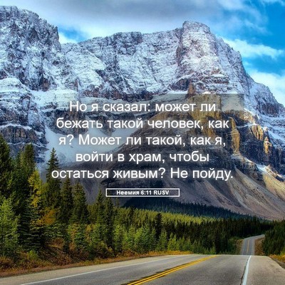 Picture 05 - Неемия 6:11 RUSV - Но я сказал: может ли - Bible Verse Picture