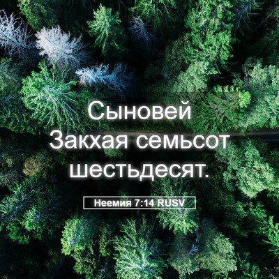 Picture 05 - Неемия 7:14 RUSV - Сыновей Закхая семьсот - Bible Verse Picture