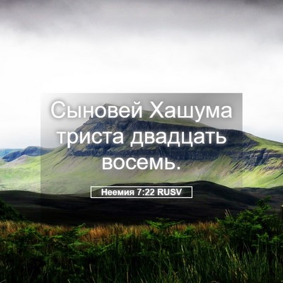 Picture 05 - Неемия 7:22 RUSV - Сыновей Хашума триста - Bible Verse Picture