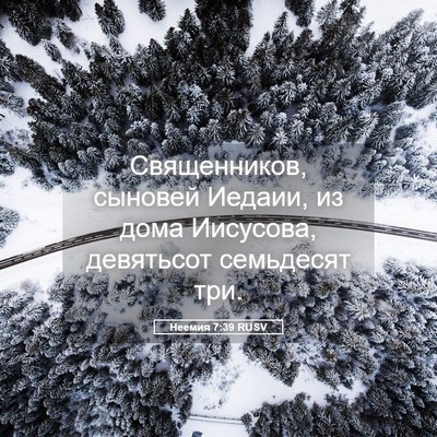 Picture 05 - Неемия 7:39 RUSV - Священников, сыновей - Bible Verse Picture