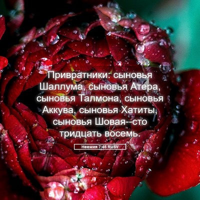 Picture 05 - Неемия 7:45 RUSV - Привратники: сыновья - Bible Verse Picture
