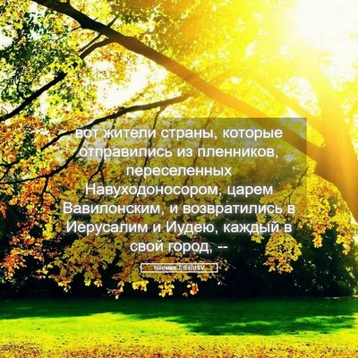 Picture 05 - Неемия 7:6 RUSV - вот жители страны, которые - Bible Verse Picture