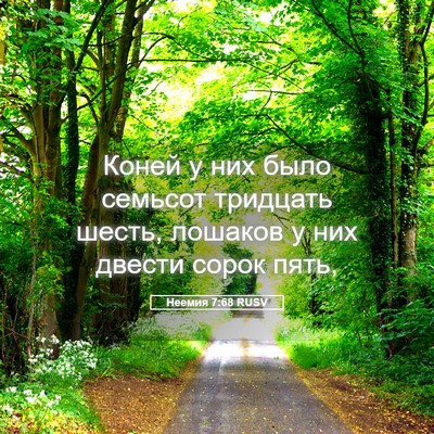 Picture 05 - Неемия 7:68 RUSV - Коней у них было семьсот - Bible Verse Picture