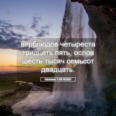Picture 05 - Неемия 7:69 RUSV - верблюдов четыреста - Bible Verse Picture