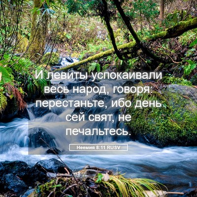 Picture 05 - Неемия 8:11 RUSV - И левиты успокаивали весь - Bible Verse Picture