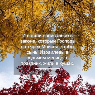 Picture 05 - Неемия 8:14 RUSV - И нашли написанное в - Bible Verse Picture