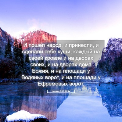 Picture 05 - Неемия 8:16 RUSV - И пошел народ, и принесли, и - Bible Verse Picture