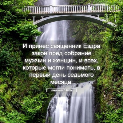 Picture 05 - Неемия 8:2 RUSV - И принес священник Ездра - Bible Verse Picture