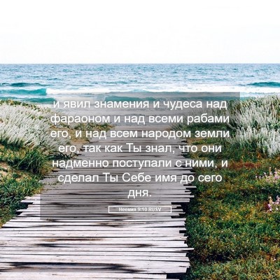 Picture 05 - Неемия 9:10 RUSV - и явил знамения и чудеса - Bible Verse Picture