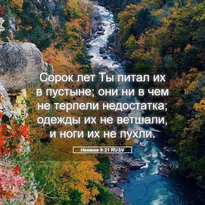 Picture 05 - Неемия 9:21 RUSV - Сорок лет Ты питал их в - Bible Verse Picture