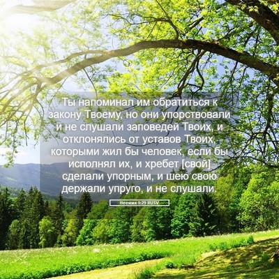 Picture 05 - Неемия 9:29 RUSV - Ты напоминал им обратиться - Bible Verse Picture